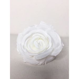 Rosa Oporto. Blanca.