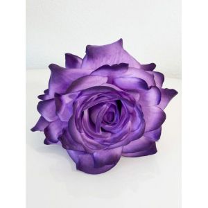 Rosa Madeira. Morado.