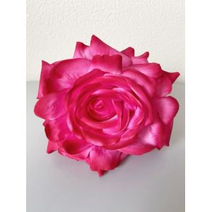 Rosa Madeira. Fucsia.