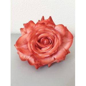 Rosa Madeira. Coral.